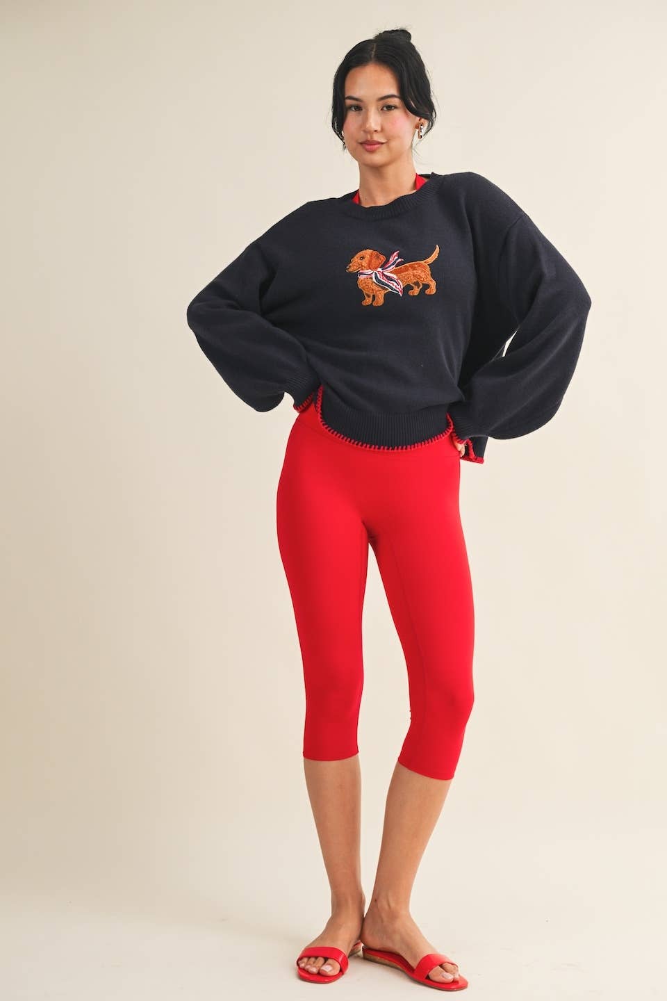 Puppy Patriot Sweater