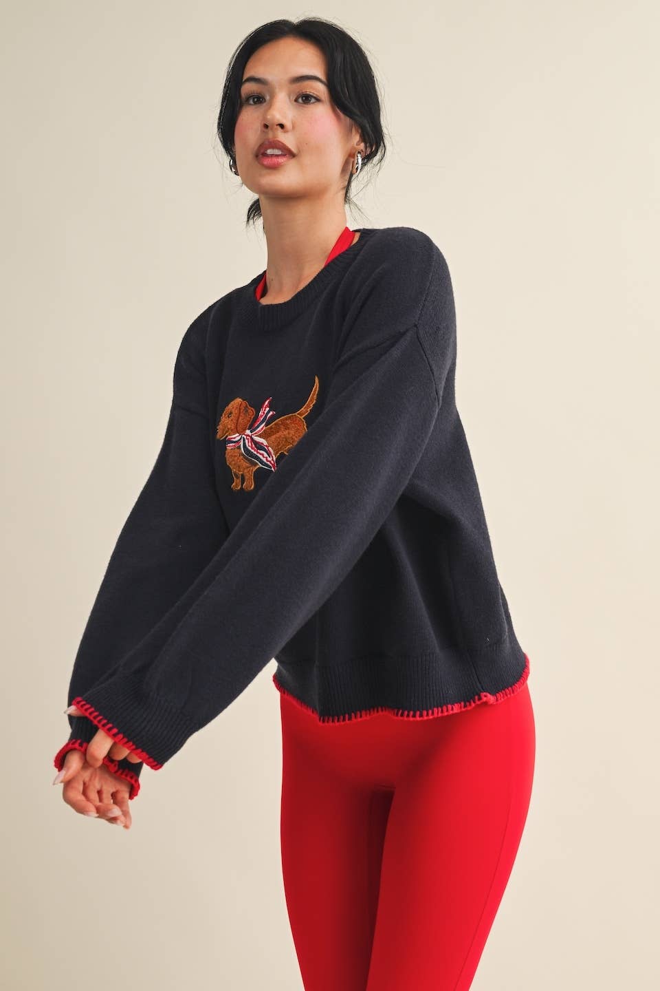Puppy Patriot Sweater