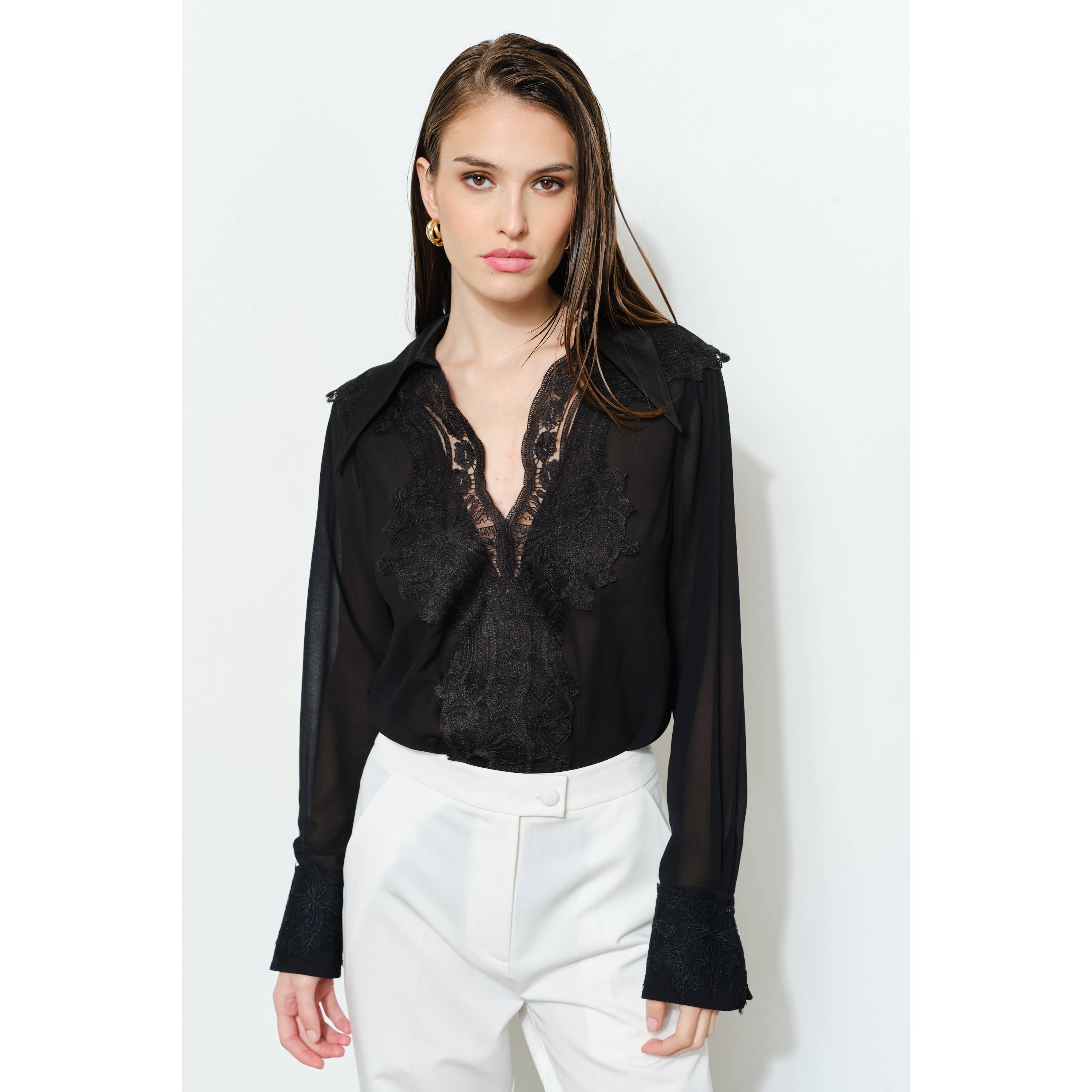 Isabelle Lace V Neck Long Sleeve Blouse