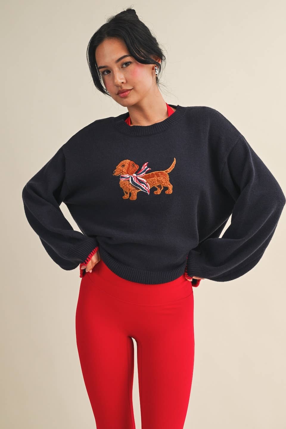 Puppy Patriot Sweater