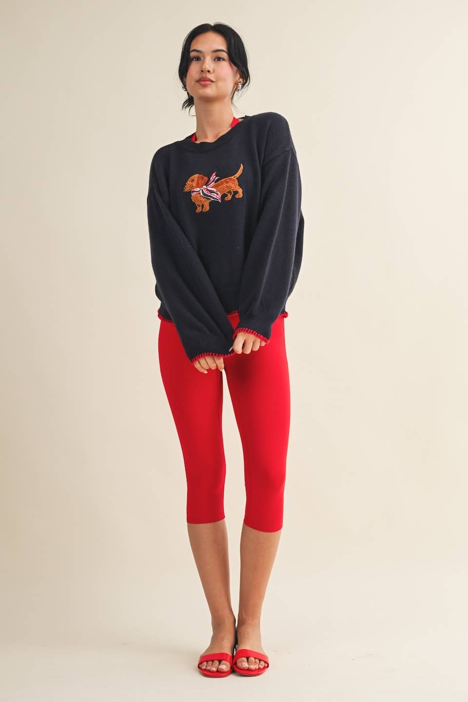 Puppy Patriot Sweater