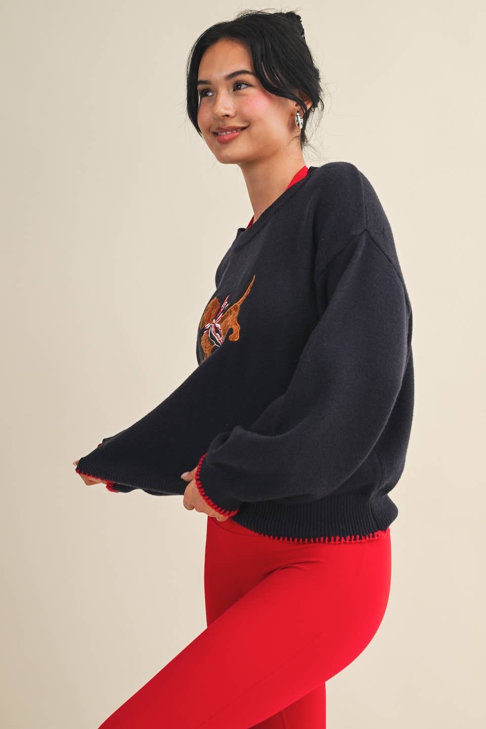 Puppy Patriot Sweater