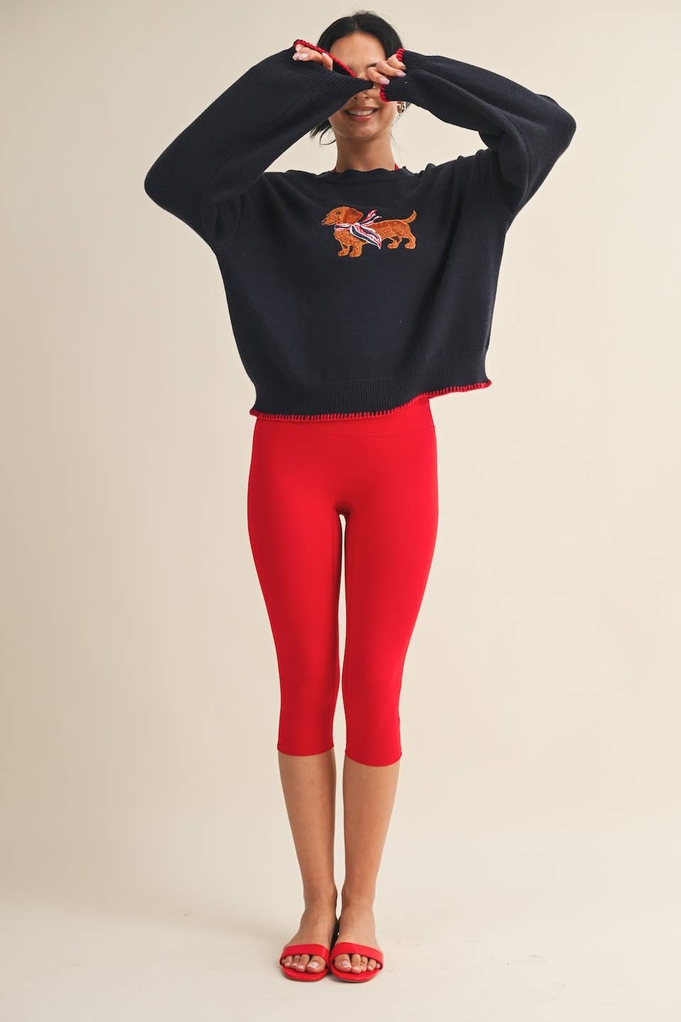 Puppy Patriot Sweater