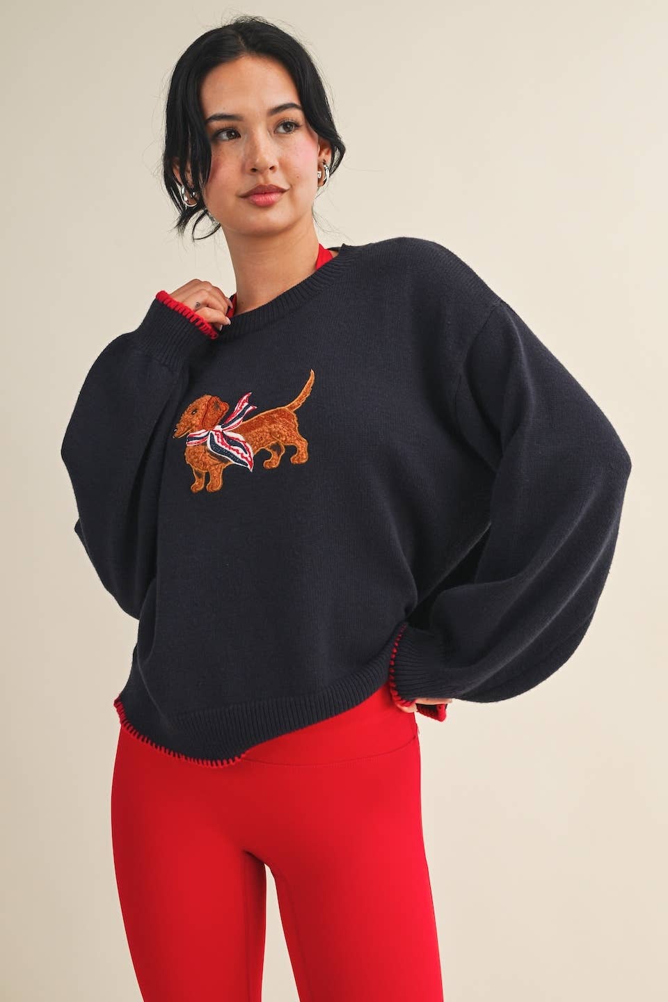 Puppy Patriot Sweater