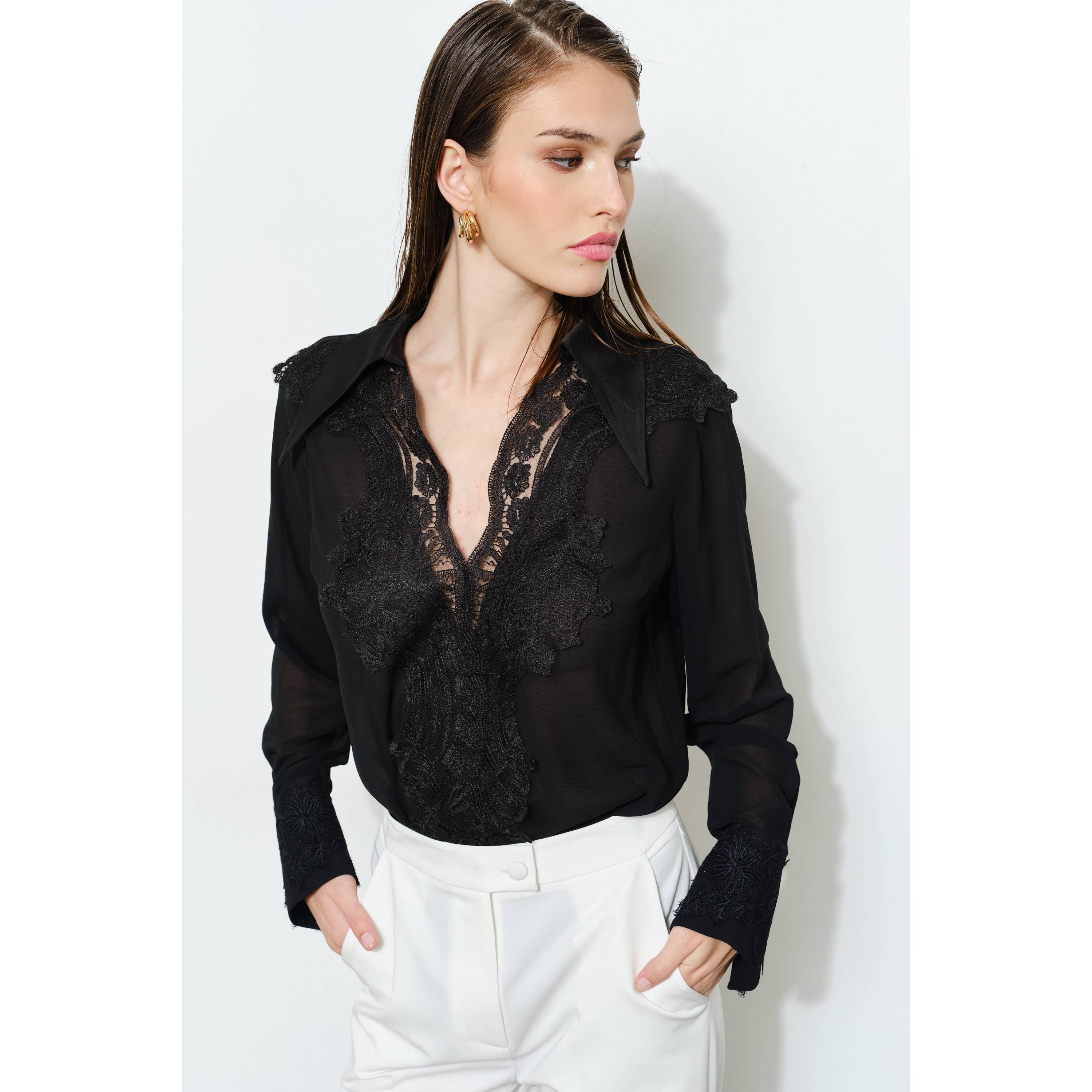 Isabelle Lace V Neck Long Sleeve Blouse