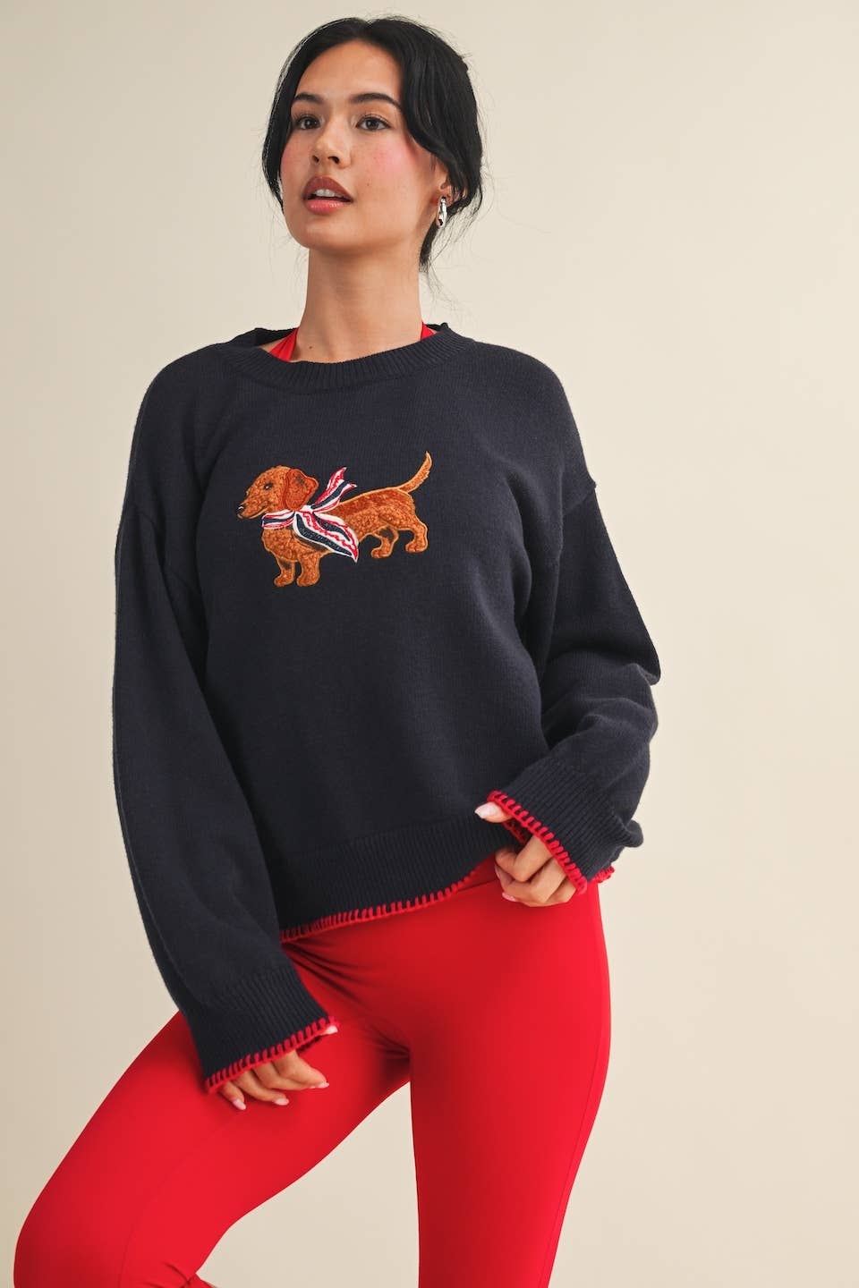 Puppy Patriot Sweater