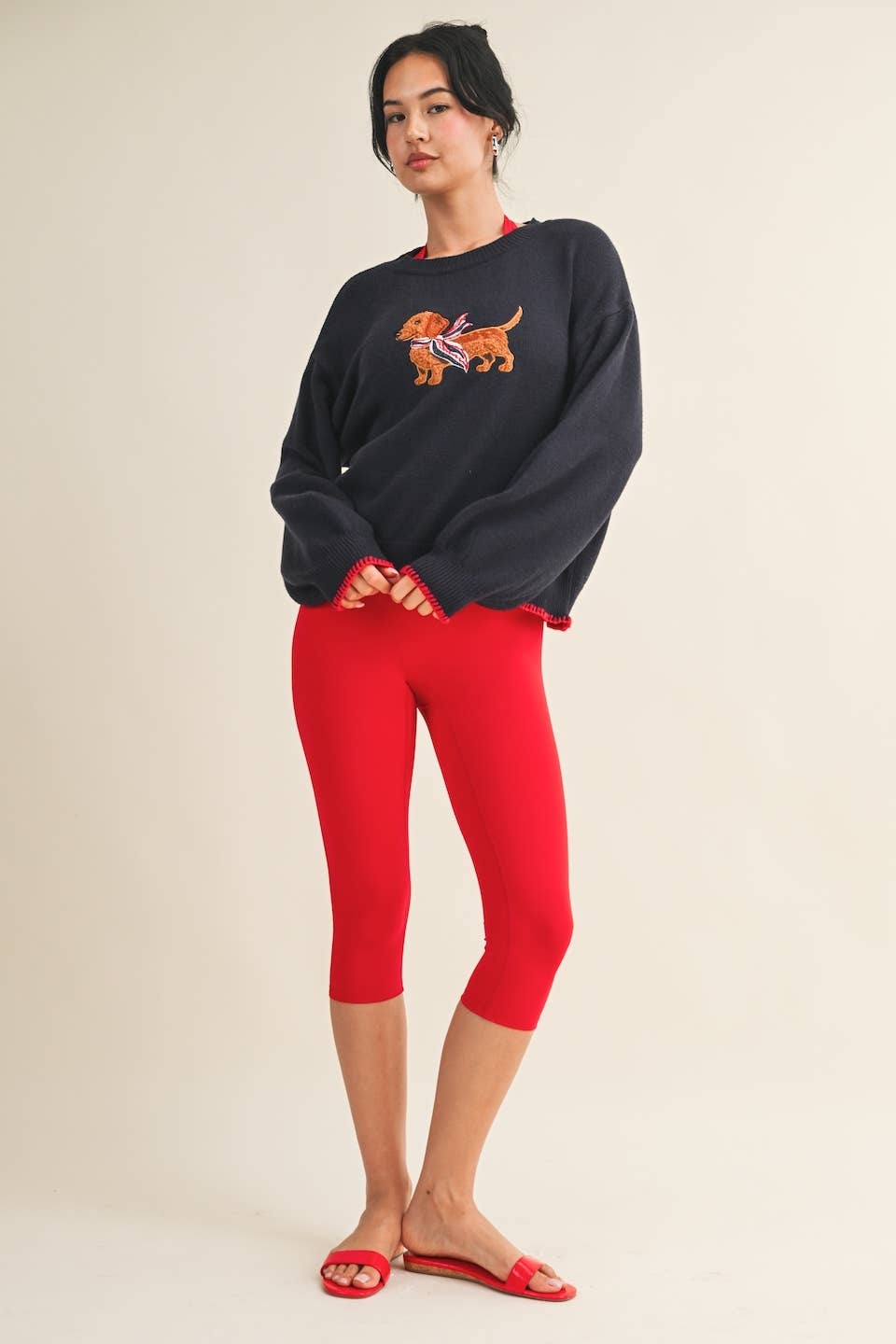 Puppy Patriot Sweater